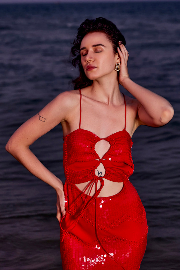 Scarlet Gown