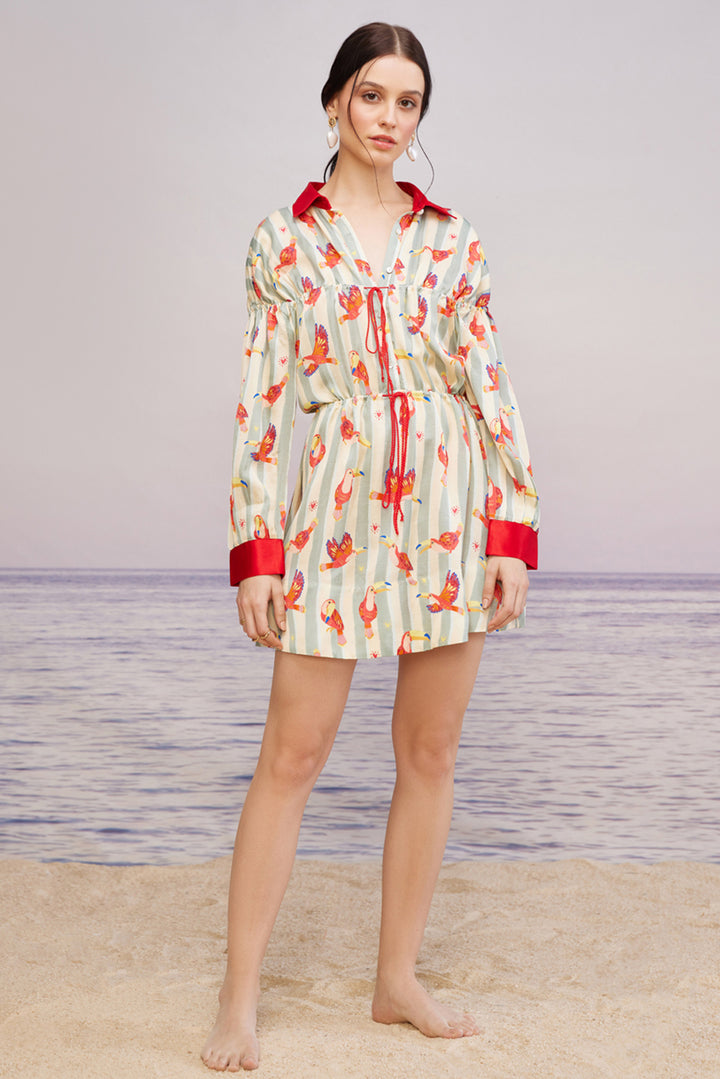 Maccau Streak Shirt Dress