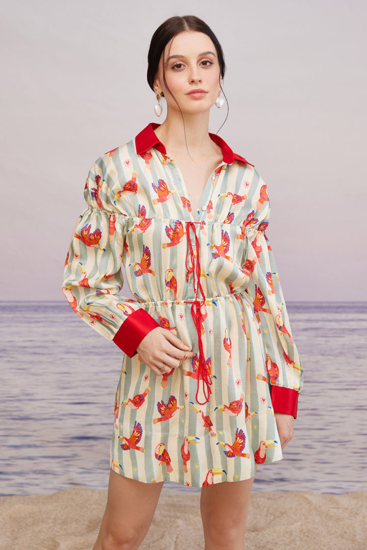 Maccau Streak Shirt Dress