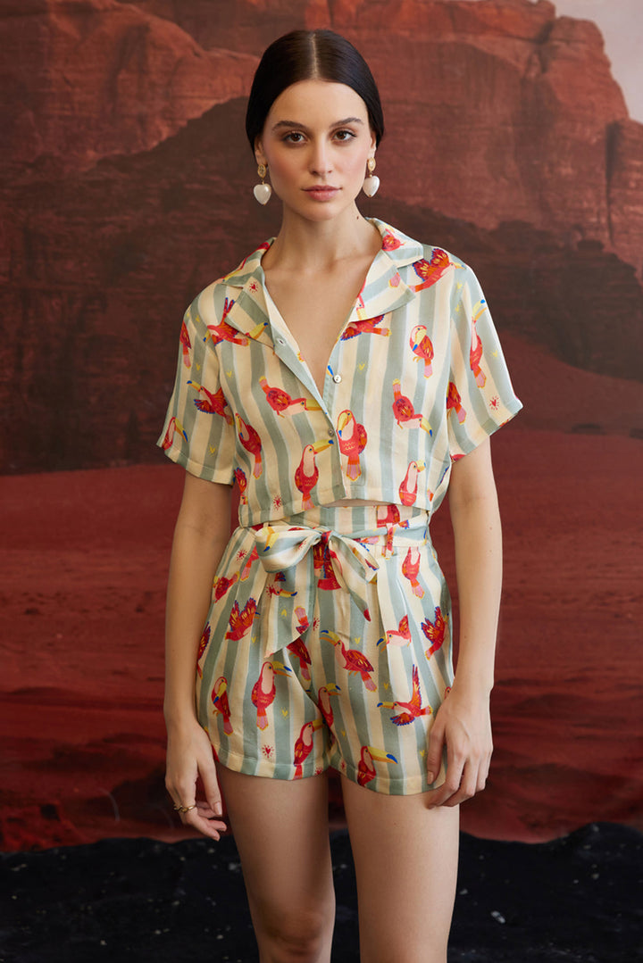 Maccau Streak Tie up Co-ord