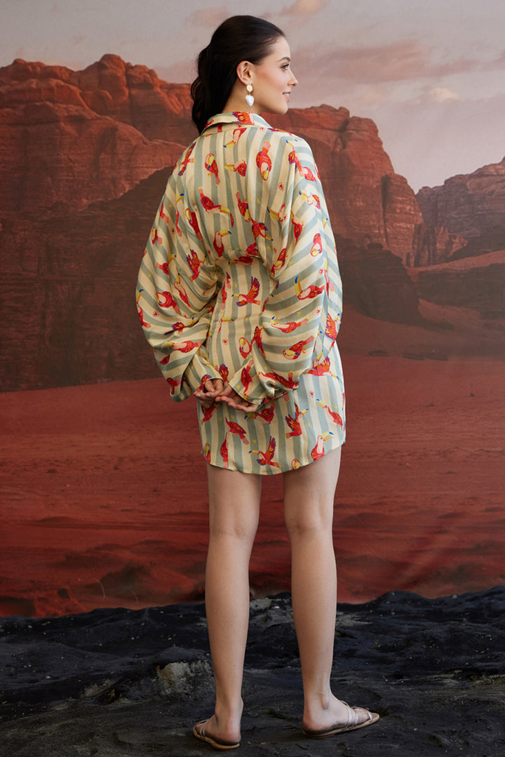 Maccau Streak Kimono Dress