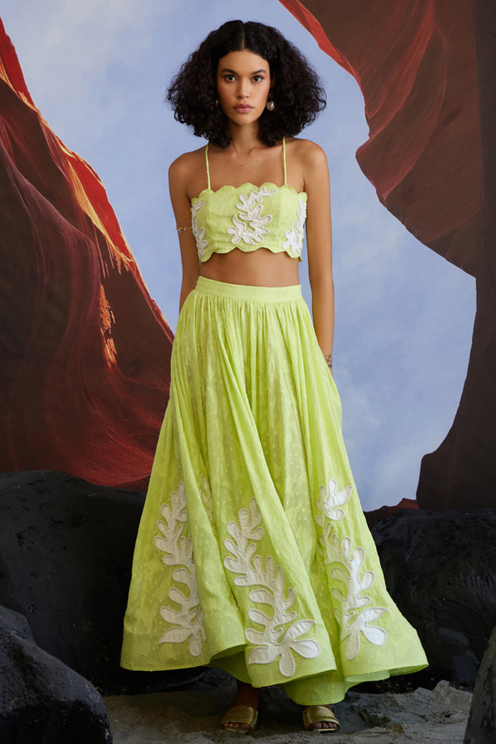 Limón Top