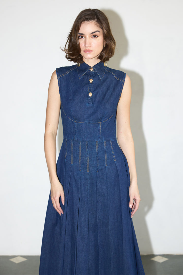 Sandra Dee Dress