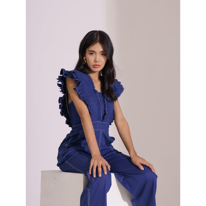 Berry Pleated Jumpsuit - ANI CLOTHING