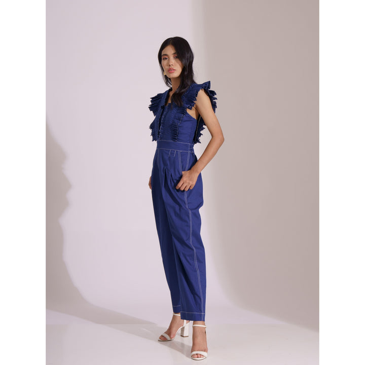 Berry Pleated Jumpsuit - ANI CLOTHING
