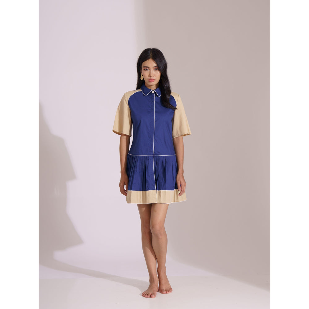 ColourBlock Pleated Block Dress - ANI CLOTHING