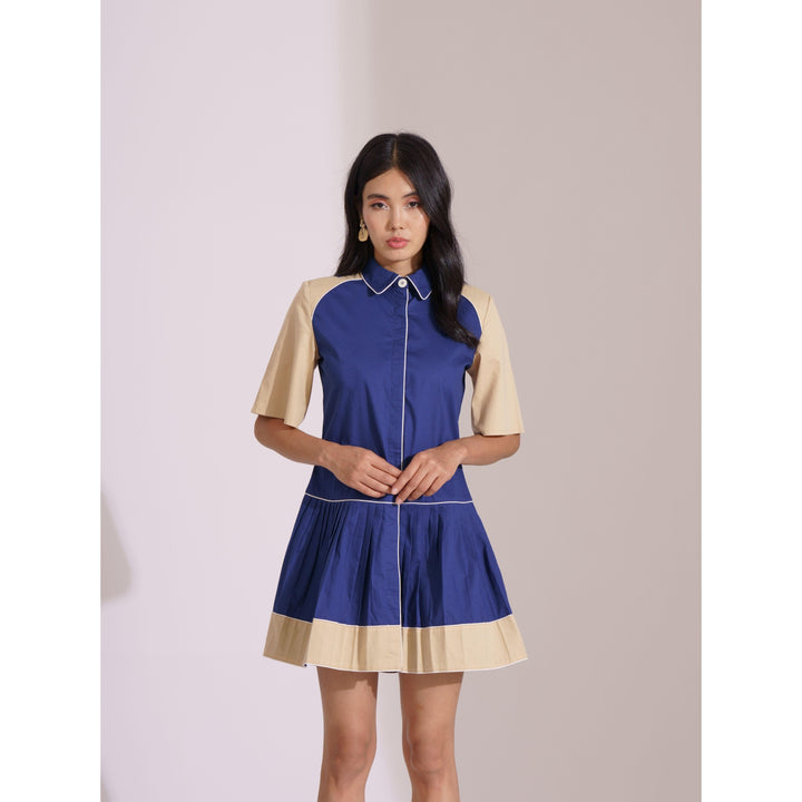 ColourBlock Pleated Block Dress - ANI CLOTHING