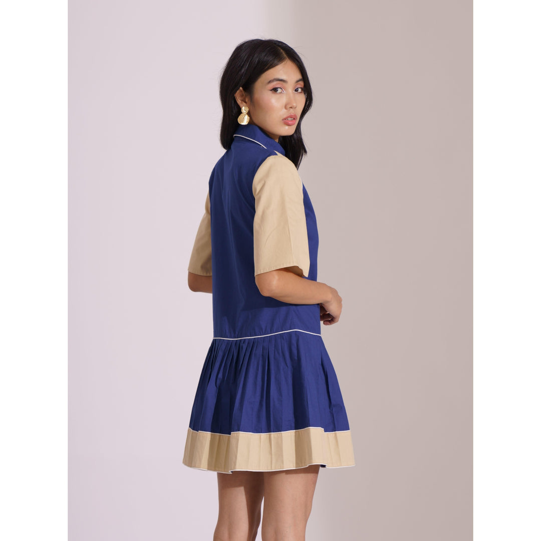 ColourBlock Pleated Block Dress - ANI CLOTHING