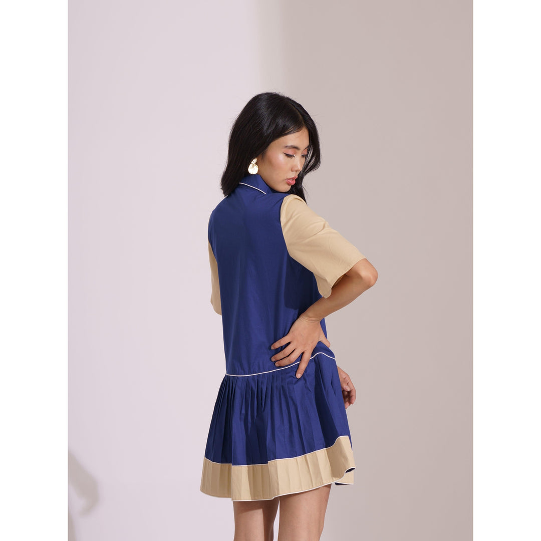 ColourBlock Pleated Block Dress - ANI CLOTHING