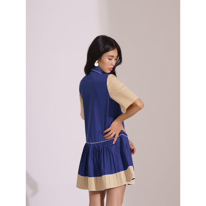 ColourBlock Pleated Block Dress - ANI CLOTHING