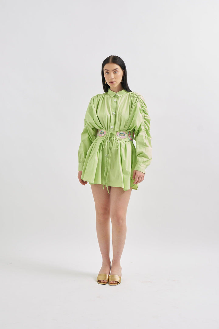 Parrot Dress with Embroidery belt - ANI CLOTHING