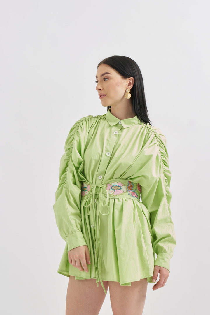 Parrot Dress with Embroidery belt - ANI CLOTHING