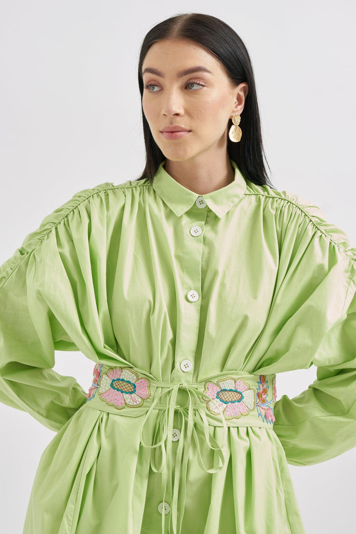 Parrot Dress with Embroidery belt - ANI CLOTHING