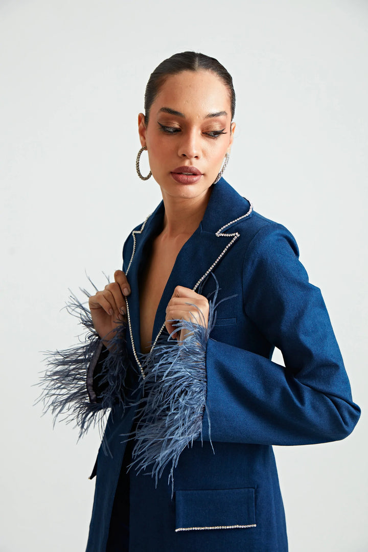 Blue Swan Co-ord Set - ANI CLOTHING